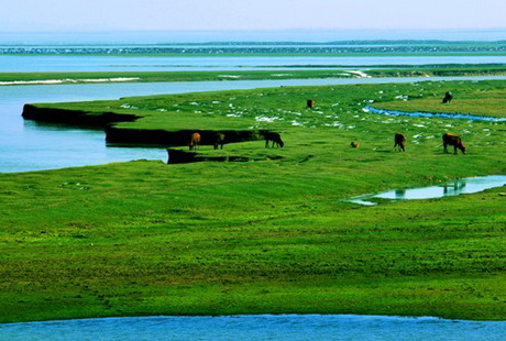 鄱阳湖5