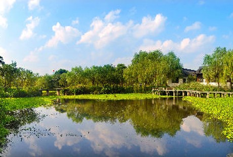杭州-西溪湿地14