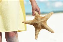 【0购分界洲】海南双飞5日游