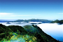 【全景江西】庐山鄱阳湖景德镇婺源篁岭三清山龙虎山井冈山7日游