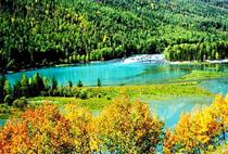 【大疆南北】乌鲁木齐、喀纳斯、禾木、那拉提、独库公路双卧14天