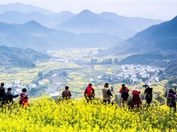 【相约江西】庐山鄱阳湖景德镇婺源篁岭3日游