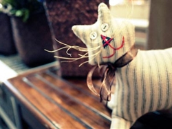 【趣玩踏浪】鼓浪屿滩涂赶海小火车3日游