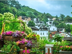 南昌到婺源篁岭、卧龙谷2日游