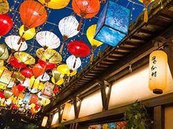 南昌到葛仙山、卧佛纯玩2日游