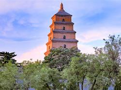 【红色延安】南昌到西安华清池兵马俑壶口延安双卧6日游