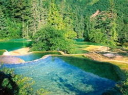 【首席重庆】重庆深度双动5日游