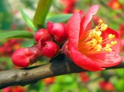 南昌到凤凰沟1日游