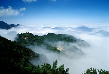 南昌到庐山1日游天天发团，经典纯玩，还原纯净旅游，美庐别墅+会址+花径+锦绣谷+三宝树